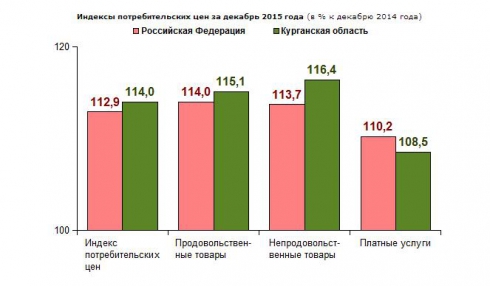 В Курганской области уровень инфляции на потребительском рынке составил 14%