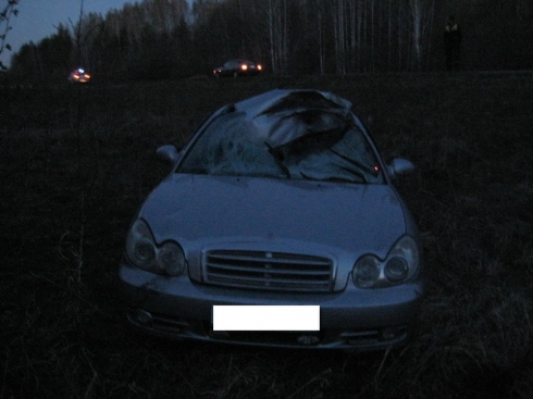 Водитель Hyundai Sonata получил травмы в столкновении с лосем (фото)