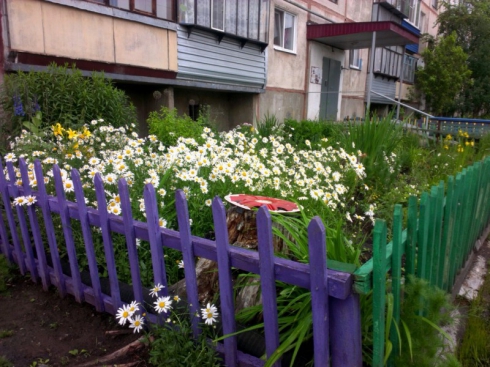 Высоцкий на стене и лучшие дворы России!