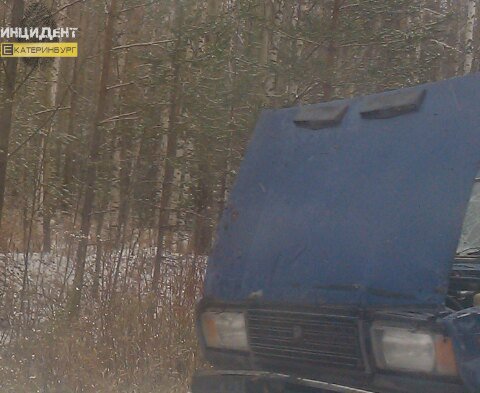 На трассе под Режом «семерка» улетела в кювет