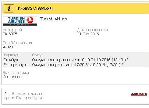 Екатеринбуржцы застряли в Стамбуле из-за снегопада Екатеринбуржцы застряли в Стамбуле из-за снегопада