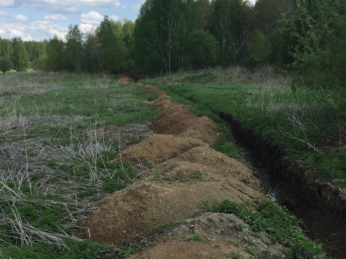 Ущерб от деятельности свердловского агрокомплекса оценили в 7,6 миллиона рублей