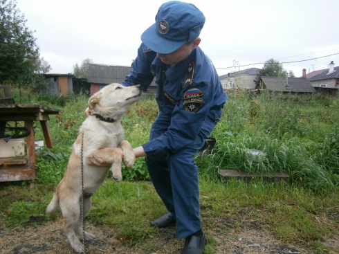 Большое противопожарное будущее: свердловские спасатели взяли на обучение лабрадора