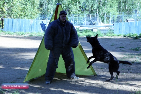 В Свердловской области прошел чемпионат МВД России по многоборью кинологов