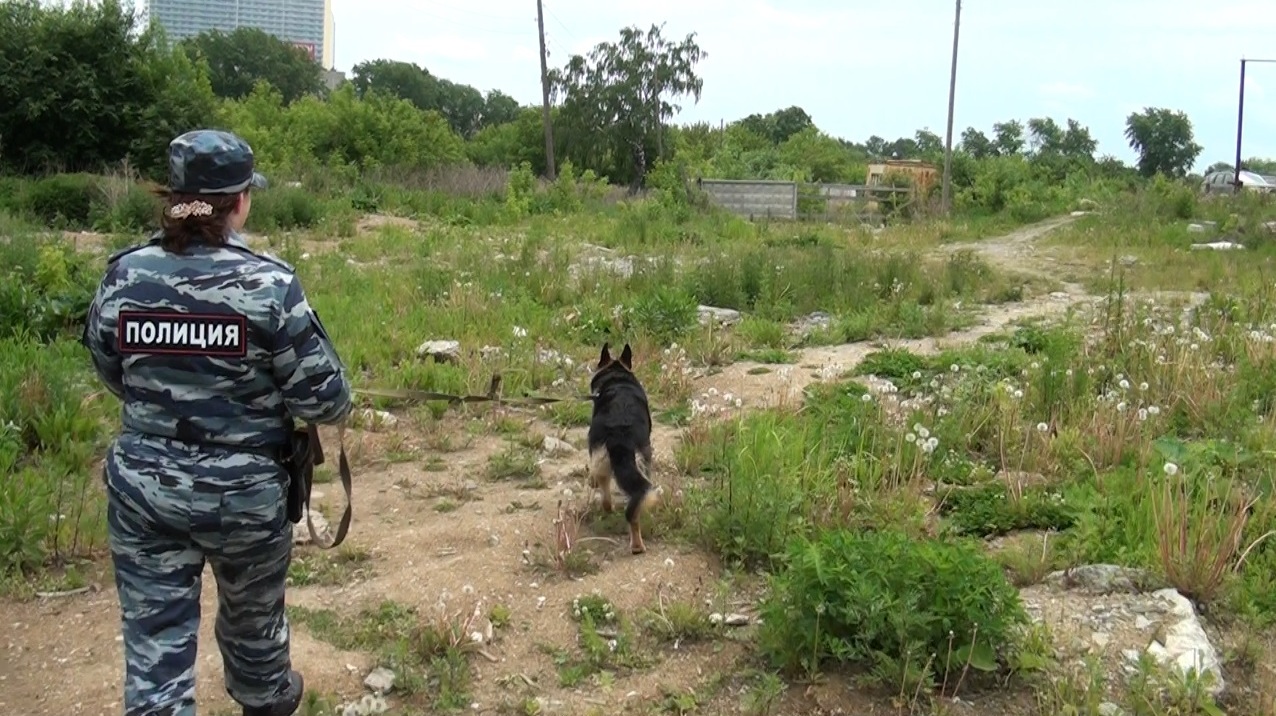 На Урале будут судить банду грабителей-велосипедистов