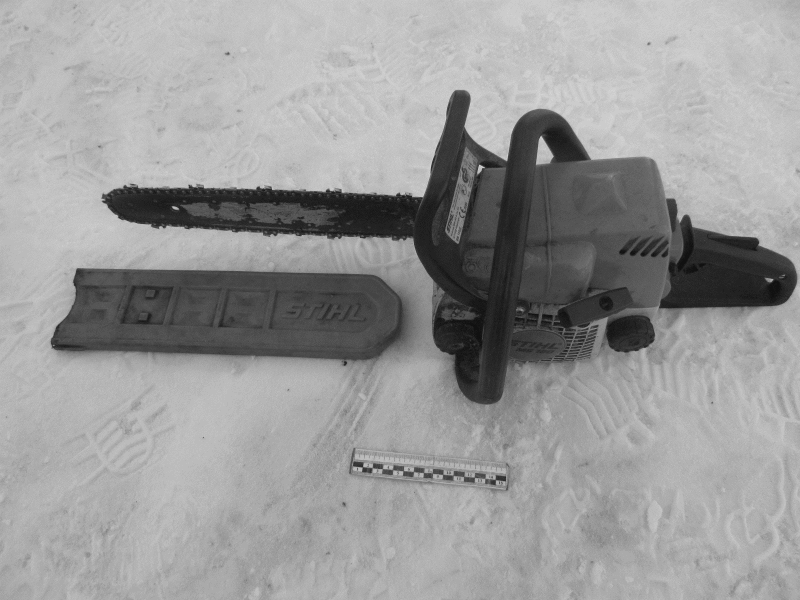 Незаконную рубку леса в особо крупном размере раскрыли полицейские в Петуховском районе