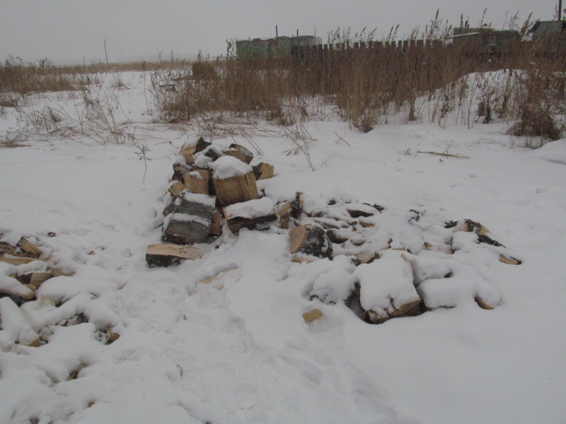 Незаконную рубку леса в особо крупном размере раскрыли полицейские в Петуховском районе