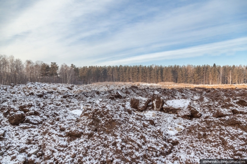 Под Верхней Пышмой картофельные поля завалили птичьим пометом