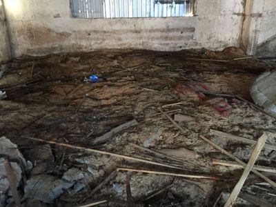 В Нижнем Тагиле прокуратура проверила службу отлова собак В Нижнем Тагиле прокуратура проверила службу отлова собак