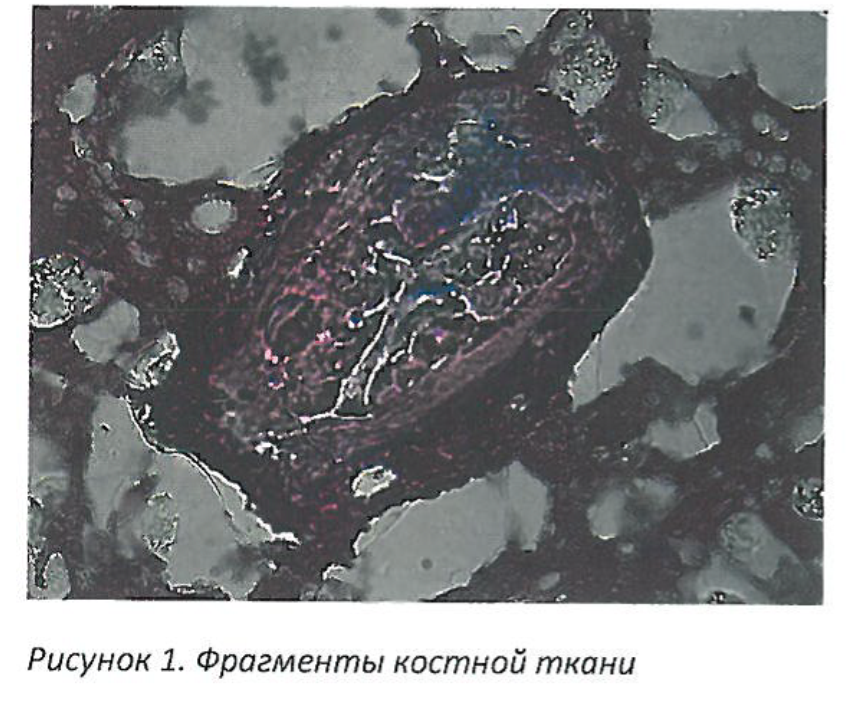 «Новоуральский мясной двор» оштрафовали за «неГОСТовскую» колбасу «Новоуральский мясной двор» оштрафовали за «неГОСТовскую» колбасу
