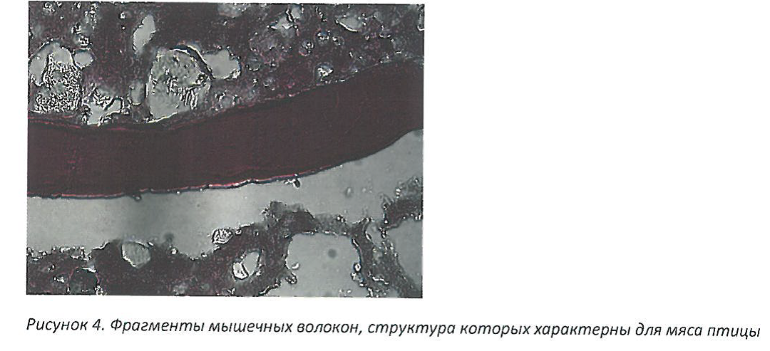«Новоуральский мясной двор» оштрафовали за «неГОСТовскую» колбасу «Новоуральский мясной двор» оштрафовали за «неГОСТовскую» колбасу