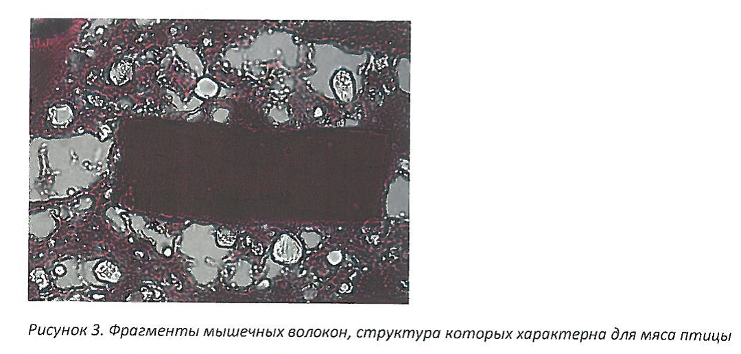 «Новоуральский мясной двор» оштрафовали за «неГОСТовскую» колбасу «Новоуральский мясной двор» оштрафовали за «неГОСТовскую» колбасу