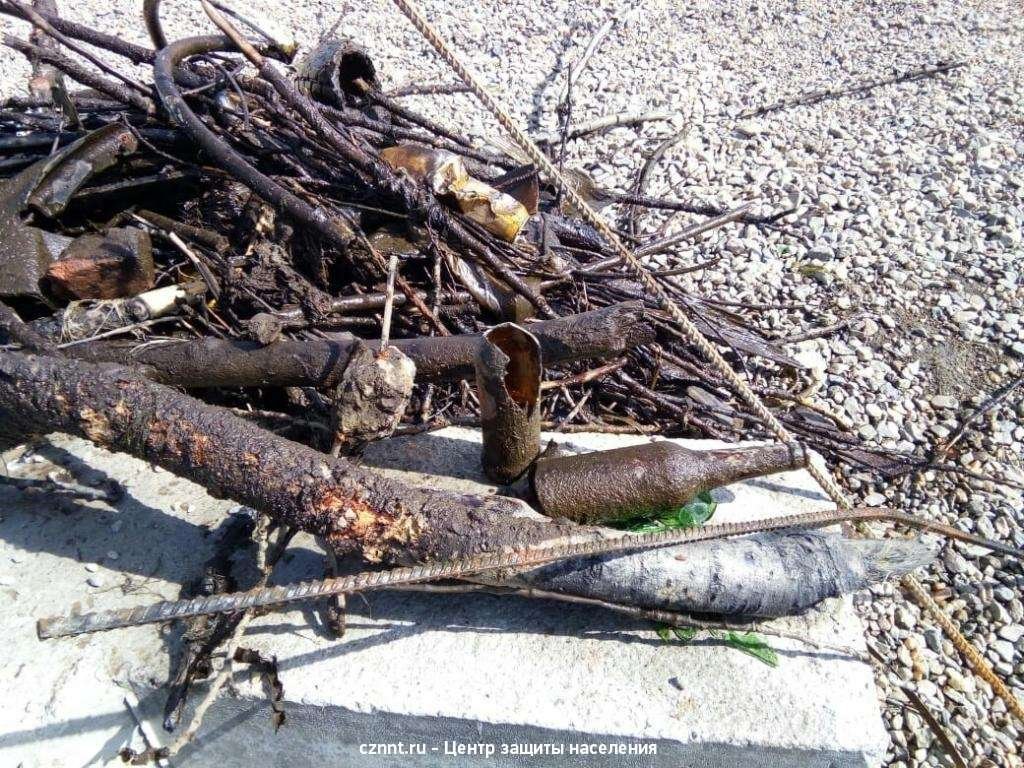 Генеральную уборку дна водоемов проводят в Нижнем Тагиле Генеральную уборку дна водоемов проводят в Нижнем Тагиле