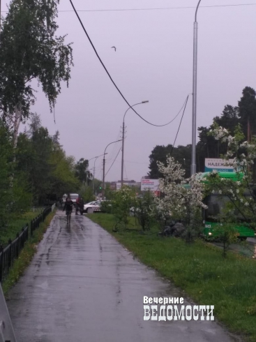 Тысячи екатеринбуржцев остались без интернета и ТВ во время прямой линии президента России Владимира Путина