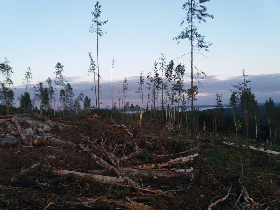 В Свердловской области разрушен памятник археологии В Свердловской области разрушен памятник археологии