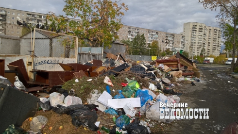 Вечерние слухи. Полиция, власть и мусор