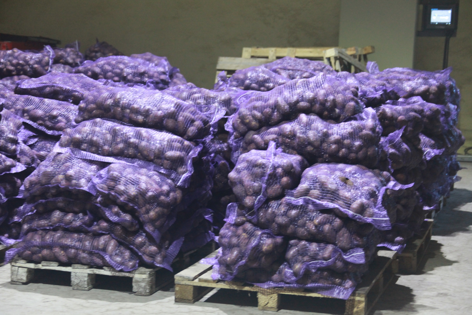 В селе Гарашкинское на месте бывшего совхоза открыли сельскохозяйственный комплекс В селе Гарашкинское на месте бывшего совхоза открыли сельскохозяйственный комплекс