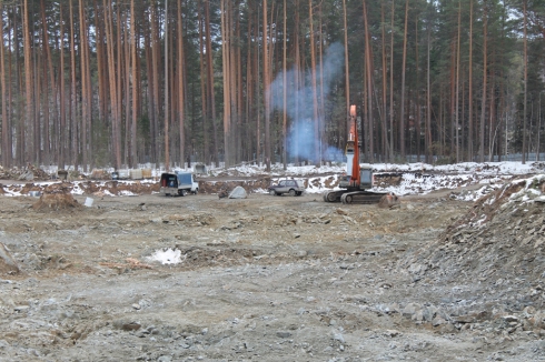 Под Екатеринбургом неизвестные вырубили несколько гектаров леса. Полиция начала проверку