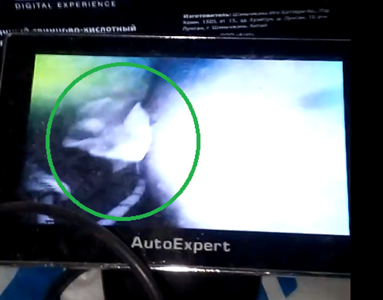 В Екатеринбурге волонтеры «Зооспаса» достали из вентиляционной шахты 16-этажки котенка В Екатеринбурге волонтеры «Зооспаса» достали из вентиляционной шахты 16-этажки котенка