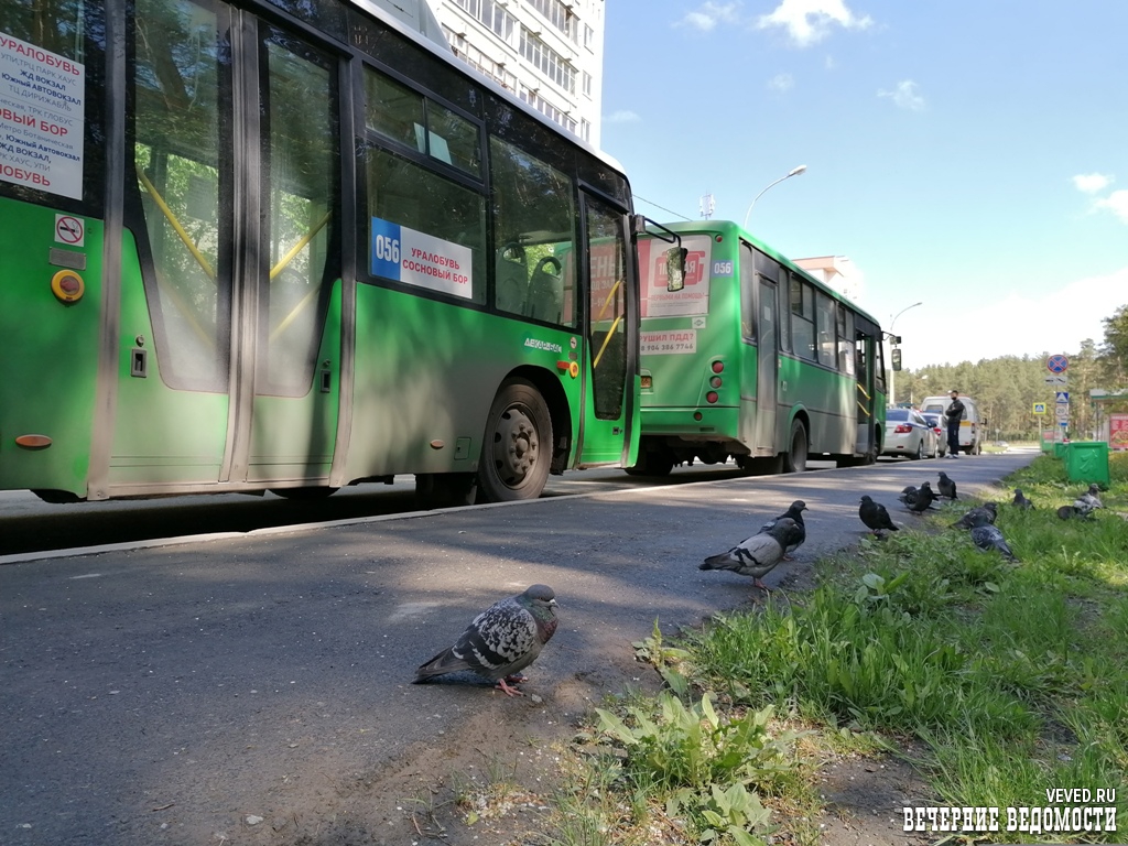 Инспекторы ГИБДД под видом пассажиров проверили маршрутки в Екатеринбурге (ФОТО) 