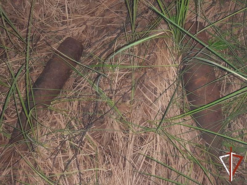 Грибники обнаружили в лесу в Свердловской области 46 артиллерийских снарядов