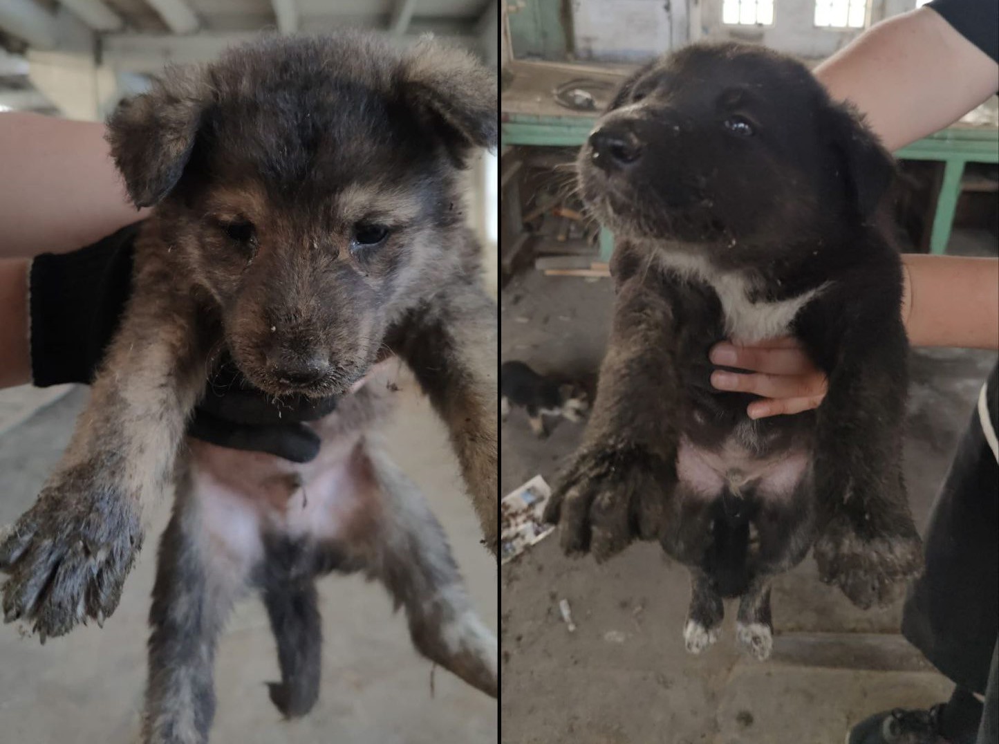 Фото: Маргарита Латыпова