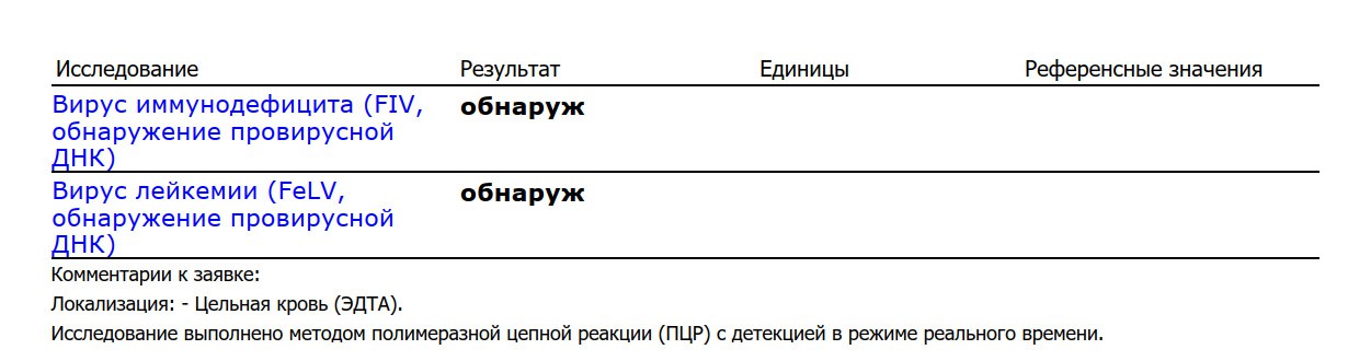 Запланированную на понедельник операцию екатеринбургскому коту Нюсу пришлось отложить